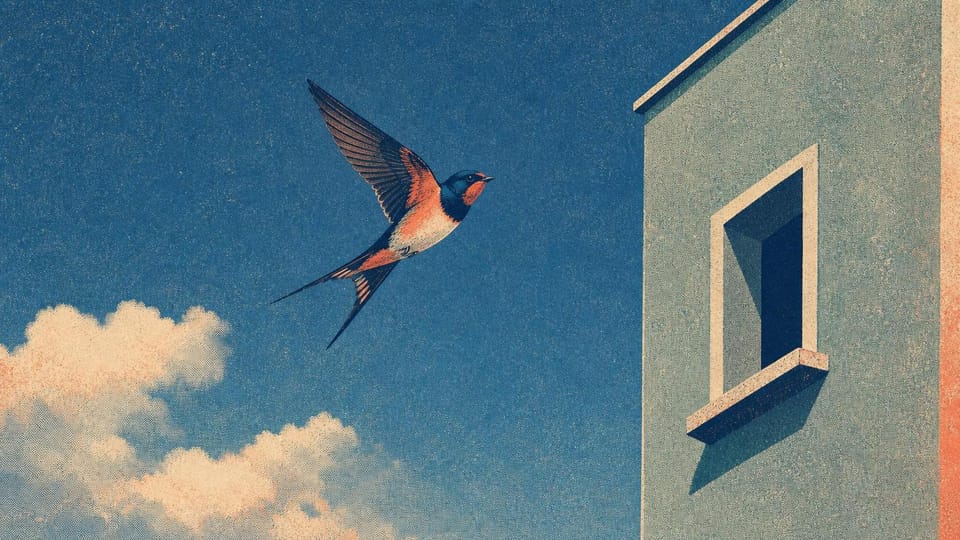 Swallow returning to a simple hotel window perch.